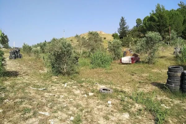 Süvari Binicilik Ve Okçuluk Kulübü - Resim 11