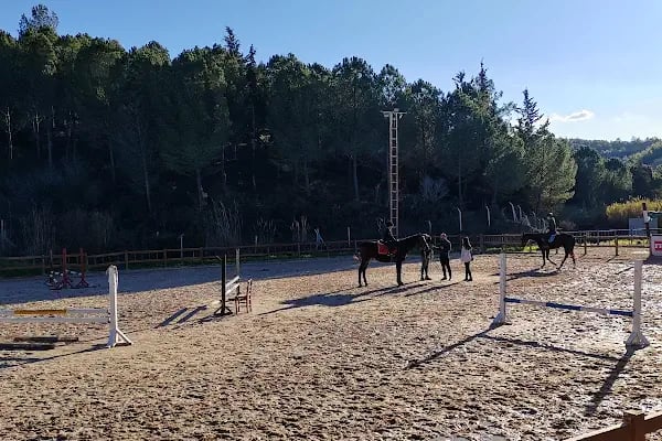 Süvari Binicilik Ve Okçuluk Kulübü - Resim 8