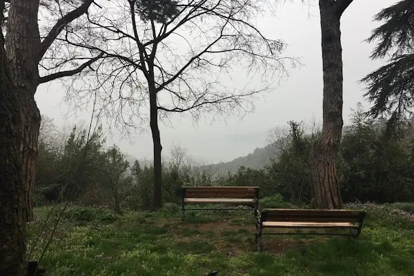 Boğaziçi Üniversitesi Kandilli Kampüsü Feza Gürsey Merkezi - Resim 3