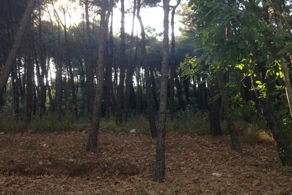 Boğaziçi Üniversitesi Kandilli Kampüsü Feza Gürsey Merkezi - Resim 12