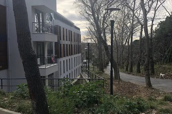 Boğaziçi Üniversitesi Kandilli Kampüsü Feza Gürsey Merkezi - Resim 8