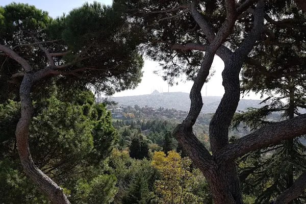 Boğaziçi Üniversitesi Kandilli Kampüsü Feza Gürsey Merkezi - Resim 5