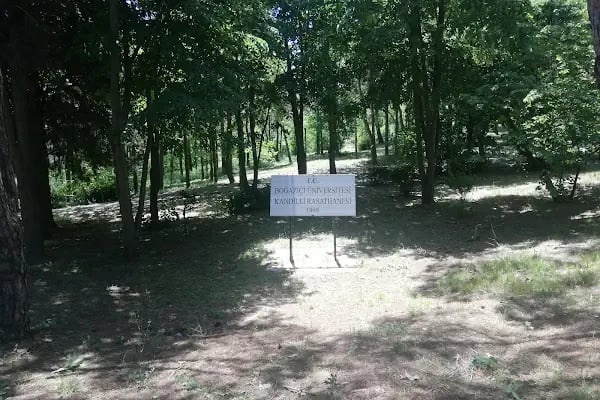 Boğaziçi Üniversitesi Kandilli Kampüsü Feza Gürsey Merkezi - Resim 10