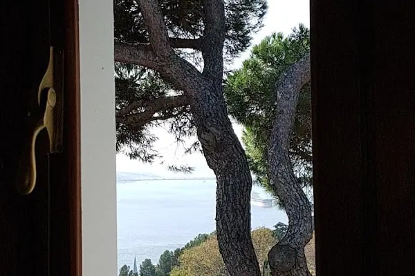 Boğaziçi Üniversitesi Kandilli Kampüsü Feza Gürsey Merkezi - Resim 19