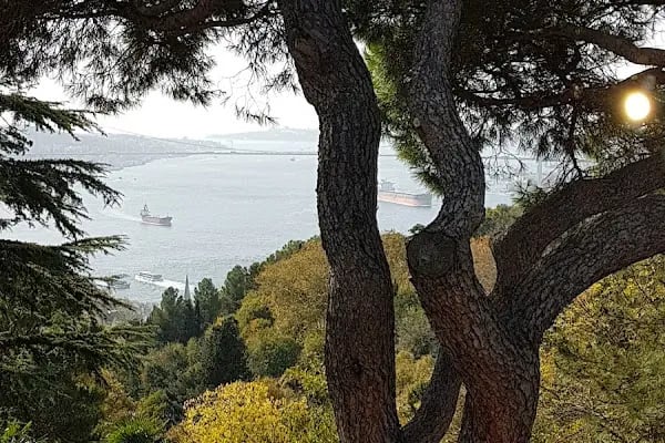 Boğaziçi Üniversitesi Kandilli Kampüsü Feza Gürsey Merkezi - Resim 14