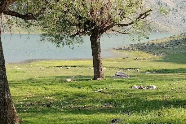 Baranda Gölü - Resim 5