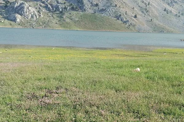 Baranda Gölü - Resim 16