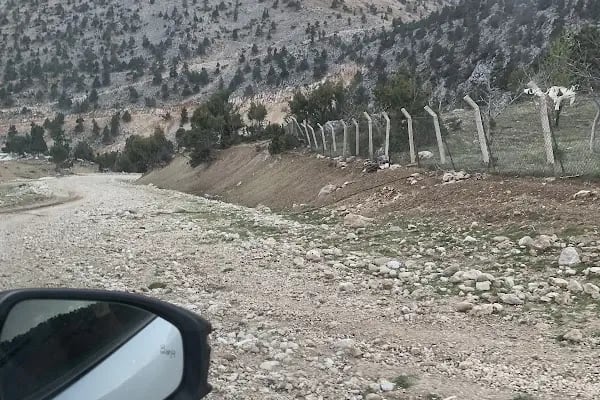 Baranda Gölü - Resim 3