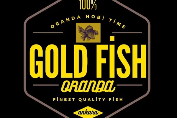 Ankara Gold Fish Oranda - Resim 12