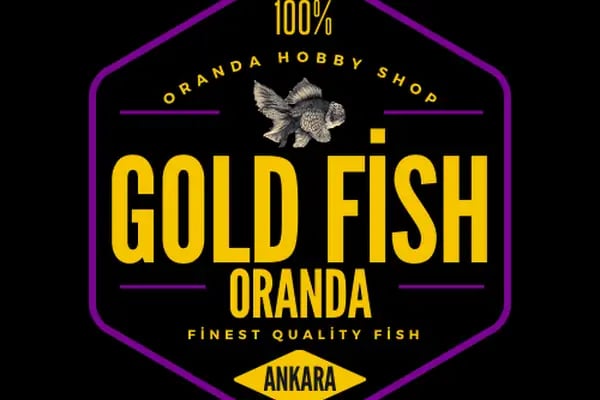 Ankara Gold Fish Oranda - Resim 15