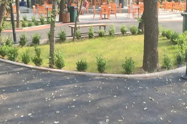 Günlük Parkı - Resim 20