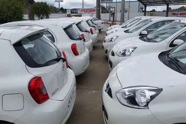 Arven Bodrum Car Rental - Resim 2