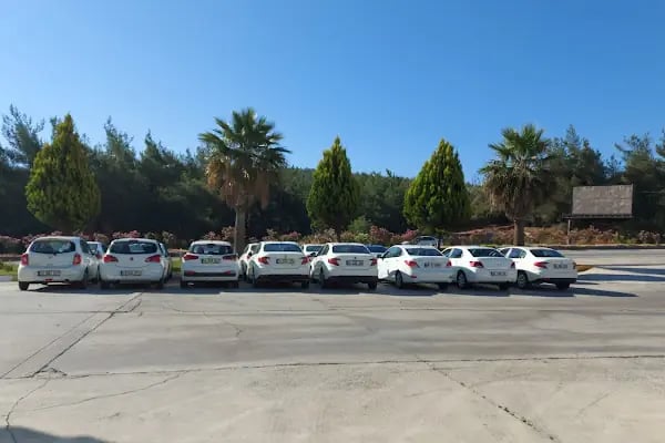 Arven Bodrum Car Rental - Resim 9