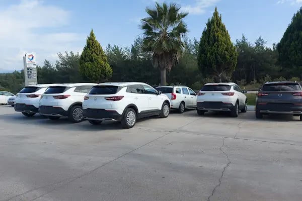 Arven Bodrum Car Rental - Resim 13
