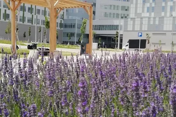 Etlik Şehir Hastanesi Genel Hastane Binası - Resim 19
