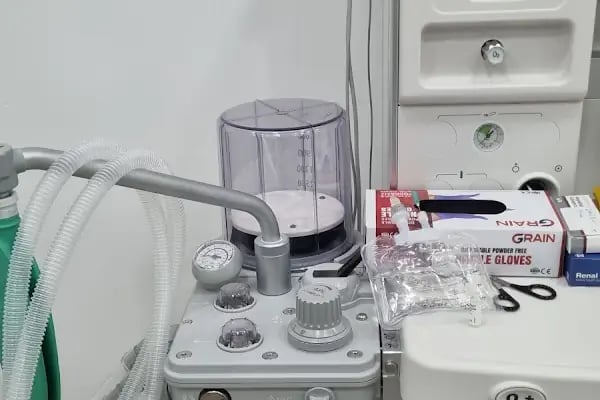 Bağcılar Acil Veteriner/Bağcılar Veteriner Kliniği - Resim 12