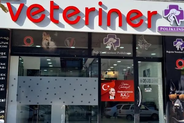 Bağcılar Acil Veteriner/Bağcılar Veteriner Kliniği - Resim 3