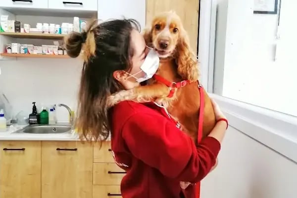Bağcılar Acil Veteriner/Bağcılar Veteriner Kliniği - Resim 6