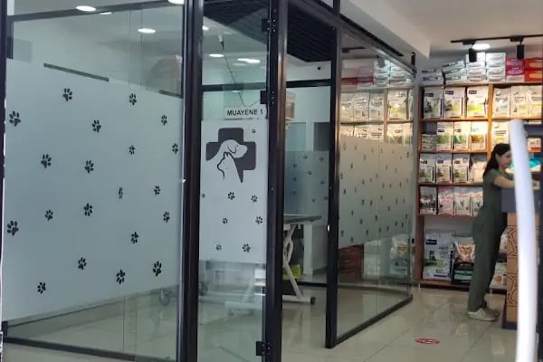 Bağcılar Acil Veteriner/Bağcılar Veteriner Kliniği - Resim 15