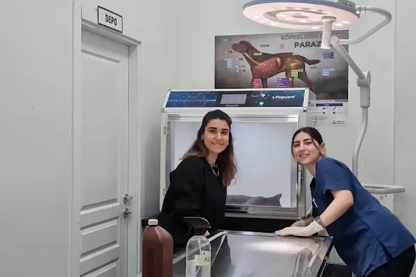 Bağcılar Acil Veteriner/Bağcılar Veteriner Kliniği - Resim 11