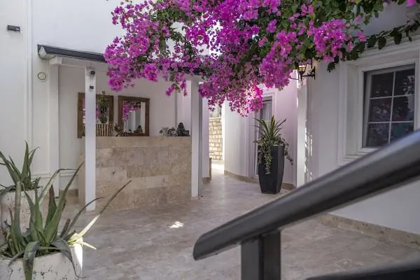 Noa Suite Hotel - Resim 9