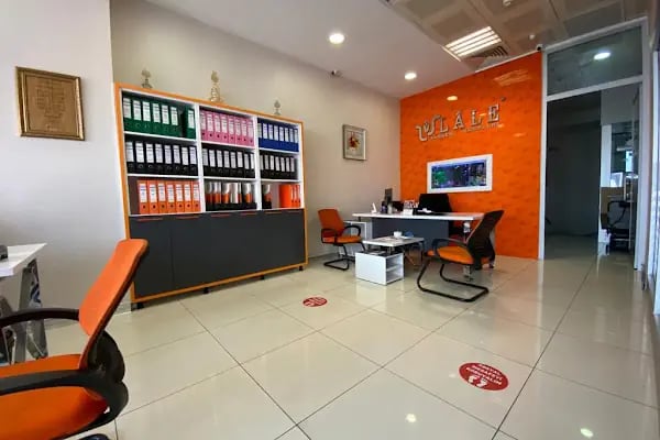 Başakşehir Lale Sürücü Kursu - Resim 13