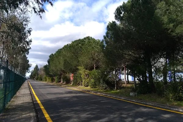 Samsun Üniversitesi Sivil Havacılık Yüksek Okulu - Resim 18