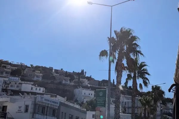 Şahin Ticaret - Raykon Boya - Resim 9