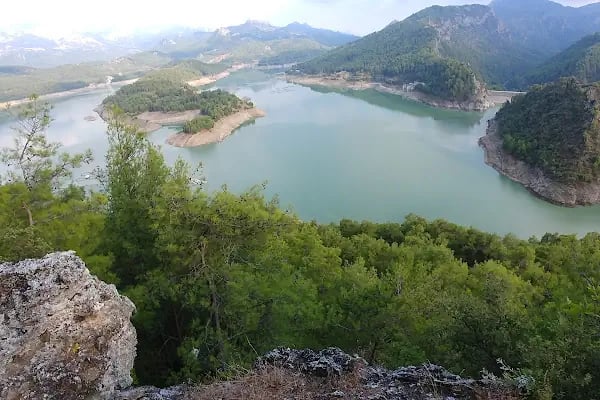 Kargı Köyü Sığla Ormanı Tabiatı Koruma Alanı - Resim 12