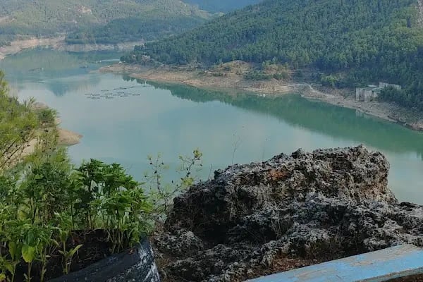 Kargı Köyü Sığla Ormanı Tabiatı Koruma Alanı - Resim 20