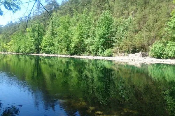 Kargı Köyü Sığla Ormanı Tabiatı Koruma Alanı - Resim 1
