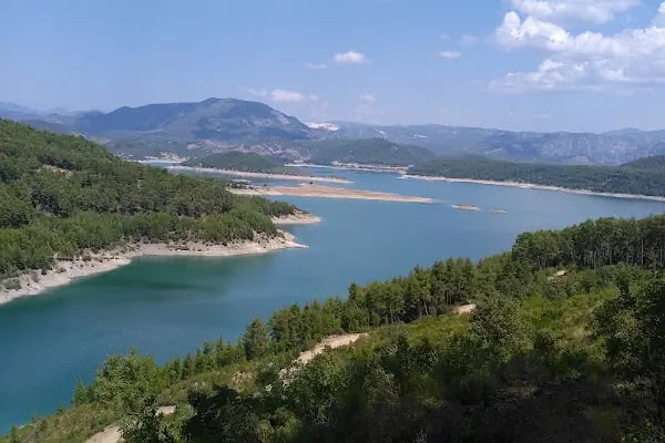 Kargı Köyü Sığla Ormanı Tabiatı Koruma Alanı - Resim 3