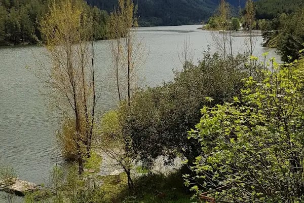 Kargı Köyü Sığla Ormanı Tabiatı Koruma Alanı - Resim 17