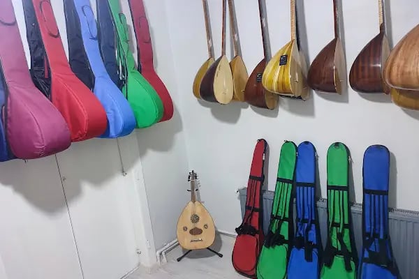 Çınar Müzik Ahmet SARI - Resim 5