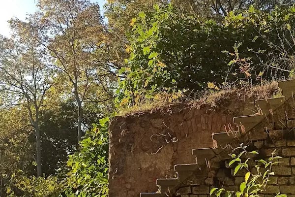 Başıbüyük Tatlı Su Toplama Bendi Göleti - Resim 17