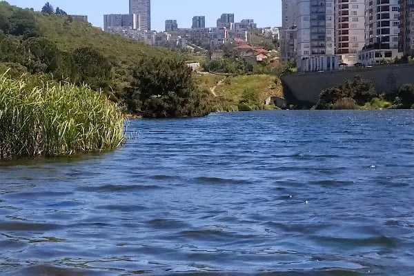 Başıbüyük Tatlı Su Toplama Bendi Göleti - Resim 2