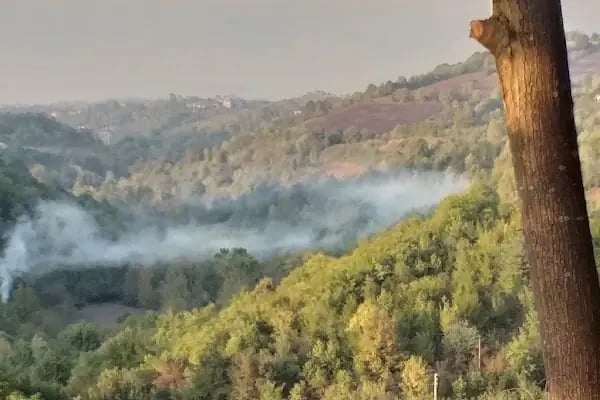 Bahçecik Beykoz Villaları D Mahallesi - Resim 12