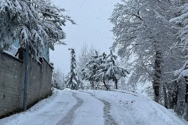 Bahçecik Beykoz Villaları D Mahallesi - Resim 14