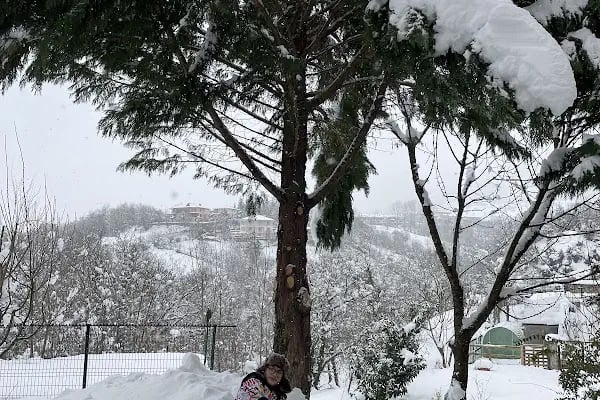 Bahçecik Beykoz Villaları D Mahallesi - Resim 13
