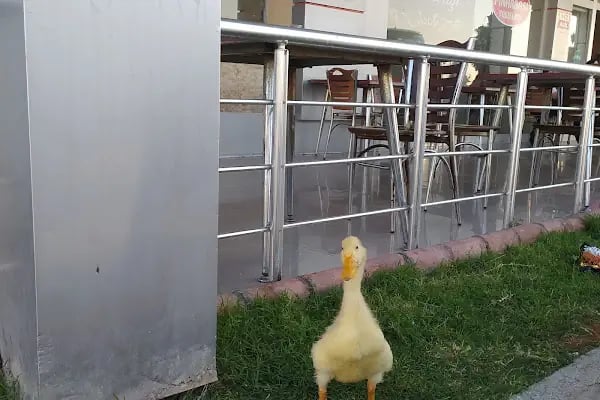 Pınarbaşı Dinlenme Tesisleri - Resim 19