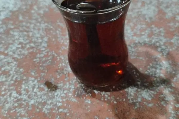 Pınarbaşı Dinlenme Tesisleri - Resim 11