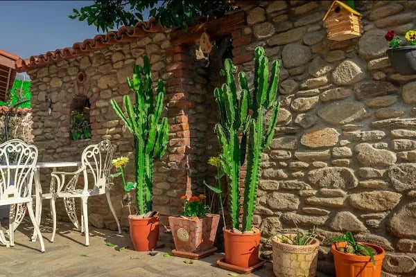 FLORA BİRGİ TAŞ KONAK - Resim 6