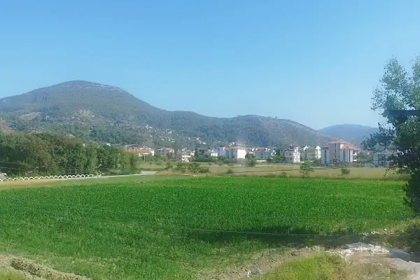 Fizyoterapist Büşra Kaya ÖZEL SAĞLIK HİZMET BİRİMİ - Resim 1