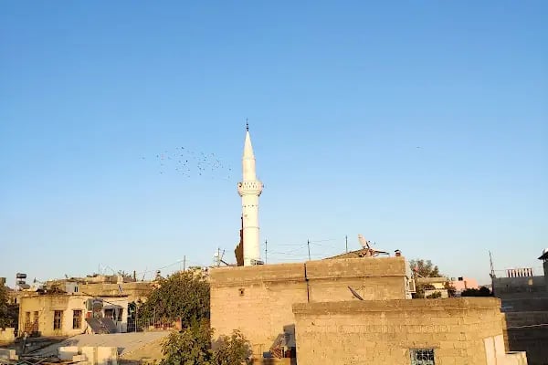 İslahiye Türkbahçe TOKİ Konutları - Resim 18