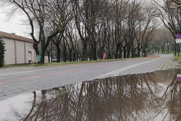 Kültürpark Açıkhava Tiyatrosu - Resim 18