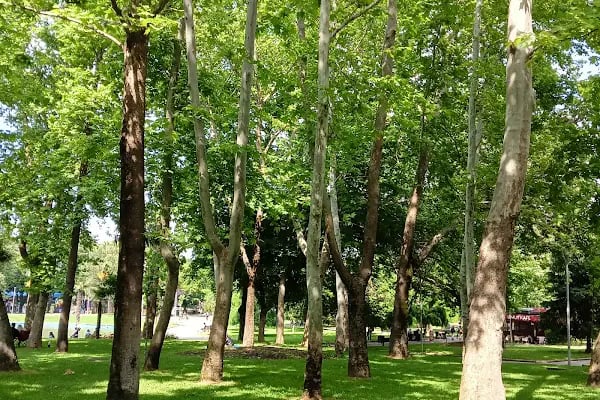 Kültürpark Açıkhava Tiyatrosu - Resim 4
