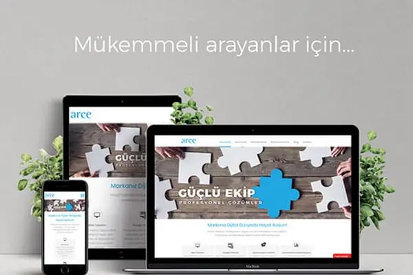 Arce Web Ajans - Resim 2