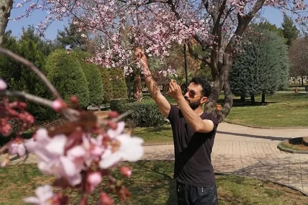 HARUN DEMİRKAN - Resim 5