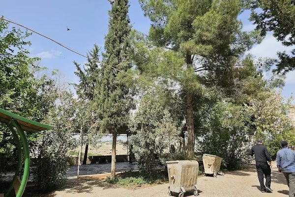 Aslanbaba Türbesi - Resim 10