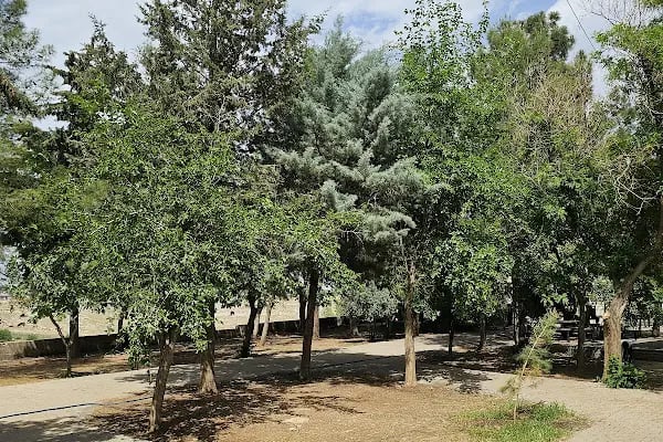 Aslanbaba Türbesi - Resim 5